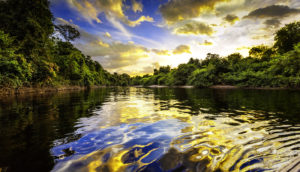 rio Amazonas ao amanhecer