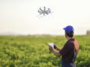 Agricultor usando drone para pulverizar plantação. Tecnologia é uma das essenciais aos negócios no futuro