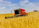 colheitadeira em plantação de trigo