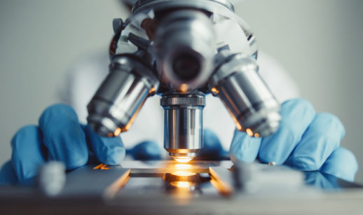 Mãos de cientista manipulando placa de baixo de telescópio em laboratório de biotecnologia