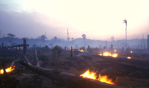 Floresta amazônica incênciada