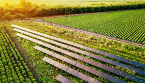 Produção de hortaliças e energia solar
