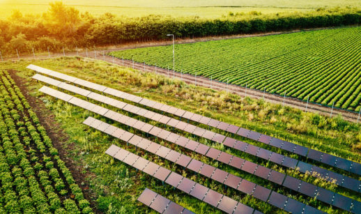 Produção de hortaliças e energia solar