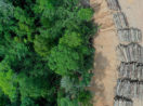 Foto aérea de desmatamento na Amazônia, onde empresas tomam decisões de investir