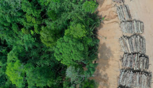 Foto aérea de desmatamento na Amazônia, onde empresas tomam decisões de investir