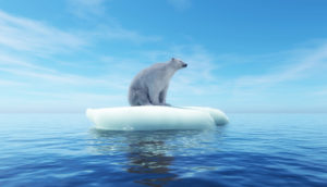 Urso polar sobre pequeno iceberg