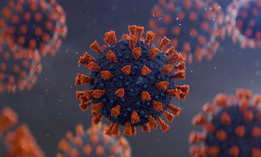 O vírus SARS-CoV-2
