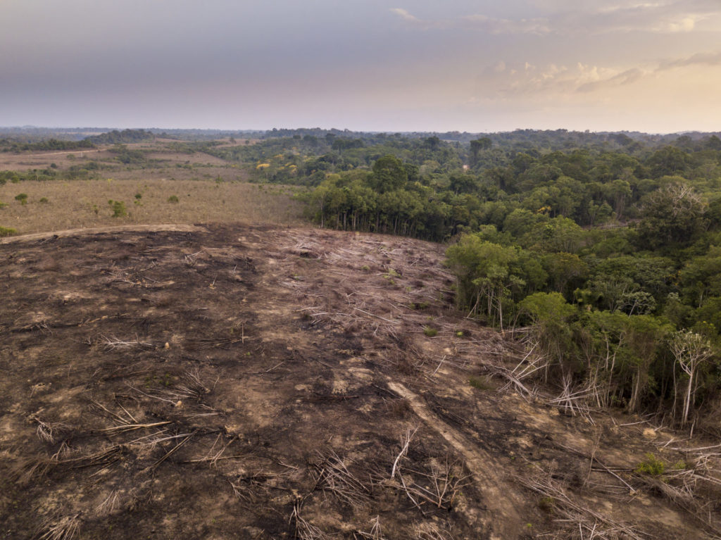 Maior floresta tropical do mundo, a Amazônia deve sofrer com aumento do desmatamento em 2021 | Foto: Getty Images