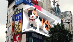 Gato digital 3d no Japão