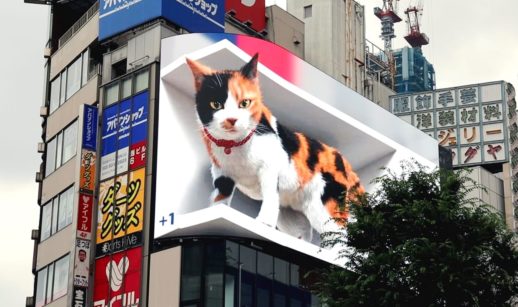 Gato digital 3d no Japão