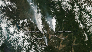 Imagem de satélite da Nasa registrou incêndios de junho na Venezuela