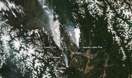 Imagem de satélite da Nasa registrou incêndios de junho na Venezuela