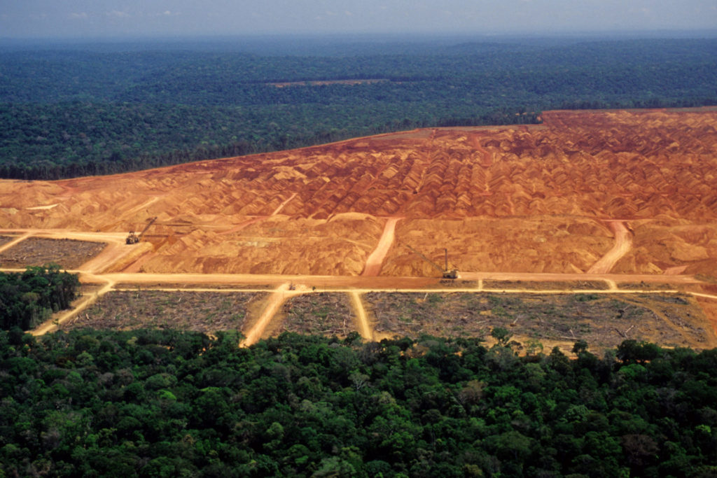Em 2020, 11.022 km² de floresta foram desmatados na Amazônia, segundo o estudo publicado nesta sexta-feira | Foto: Getty Images