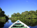 barcuinho na amazônia