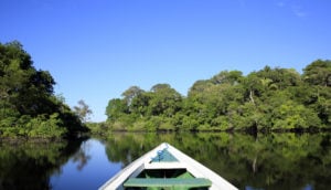 barcuinho na amazônia