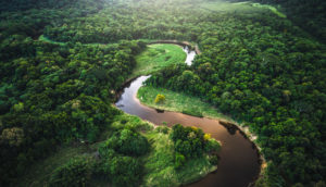 Vista aérea da Floresta Amazônica com rio no meio, alusivo ao tratado de florestas Forest Deal da COP-26
