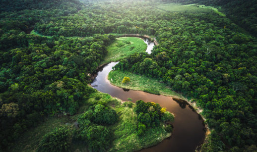 Vista aérea da Floresta Amazônica com rio no meio, alusivo ao tratado de florestas Forest Deal da COP-26