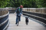 Homem andando de bicicleta com capacete vermelho e cachorro preto ao lado correndo, alusivo a uma viagem de férias com mais tranquilidade devido ao seguro-viagem