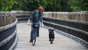Homem andando de bicicleta com capacete vermelho e cachorro preto ao lado correndo, alusivo a uma viagem de férias com mais tranquilidade devido ao seguro-viagem