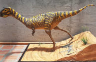 Dinossauro banguela brasileiro