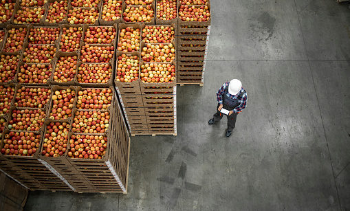 Cadeia de abastecimento de maçãs