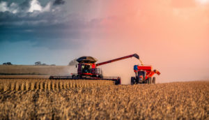 Colheitadeira e caminhão em meio à plantação de grãos, alusivo à previsão de safra recorde da Conab