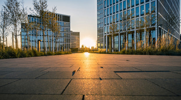 Foto de pôr do sol com árvores em frente a prédios espelhados, alusivo às questões ESG