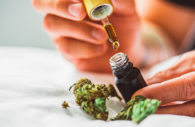 extrato de cannabis