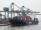 Navio nas cores preta e vermelha com contêineres ao lado de berço com pontes rolantes no terminal de Santos, um dos portos do setor portuário do Brasil