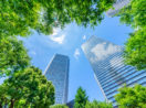 Perspectiva de baixo para cima de prédios espelhados com árvores em torno, alusivos aos investimentos sustentáveis