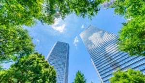 Perspectiva de baixo para cima de prédios espelhados com árvores em torno, alusivos aos investimentos sustentáveis