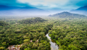 Aérea da Floresta Amazônica, no Brasil, alusivo aos créditos de carbono
