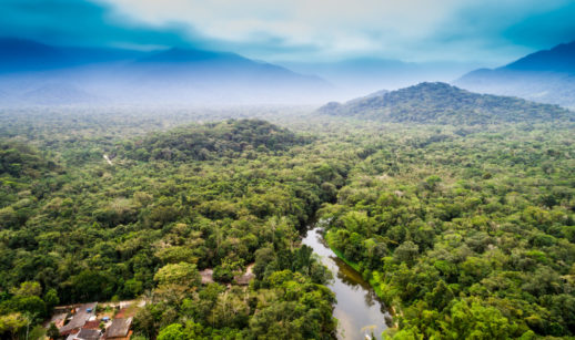 Aérea da Floresta Amazônica, no Brasil, alusivo aos créditos de carbono