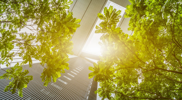 Perspectiva de baixo para cima de prédios espelhados com árvores e raio solar, alusivo aos investimentos ESG