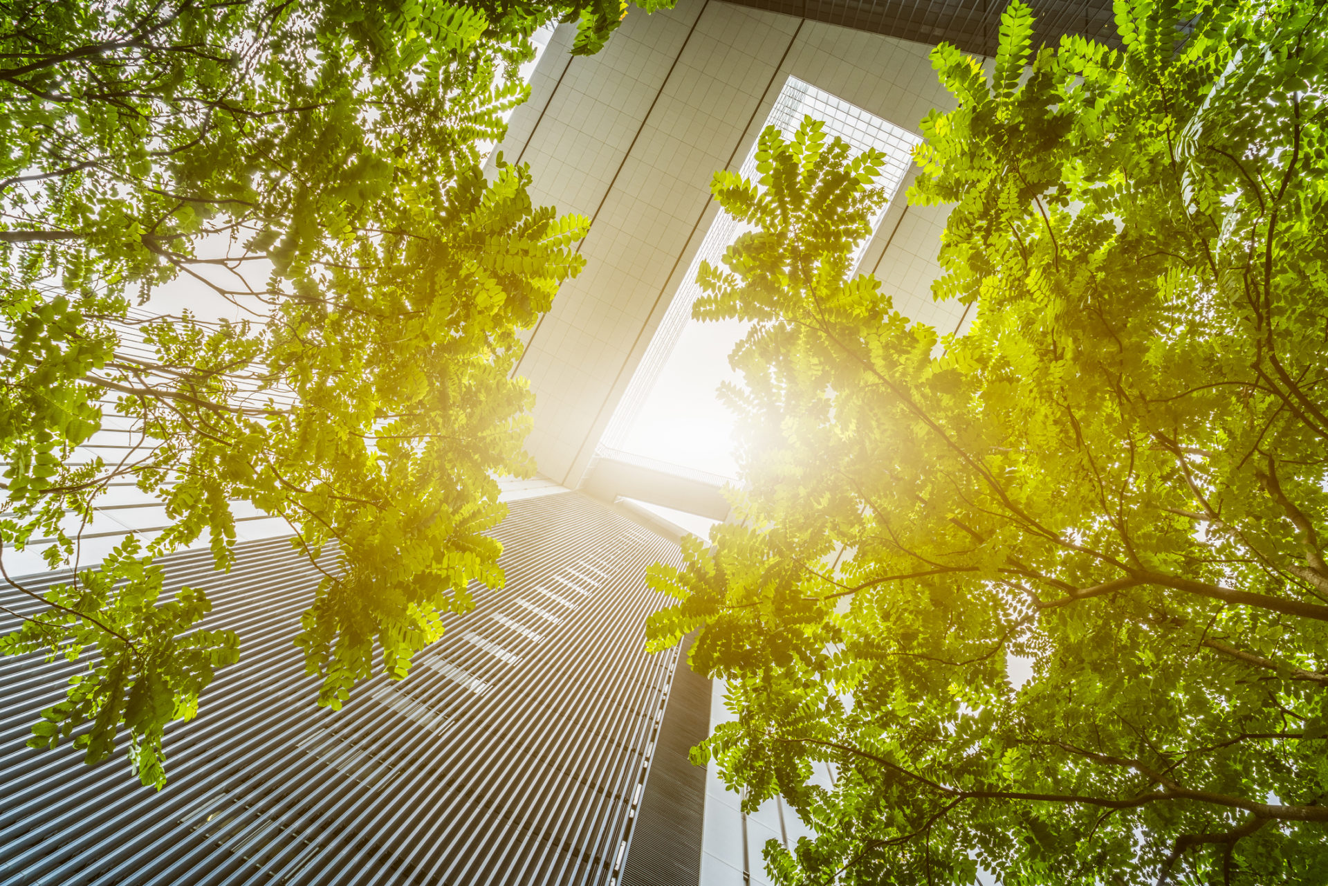 Perspectiva de baixo para cima de prédios espelhados com árvores e raio solar, alusivo aos investimentos ESG