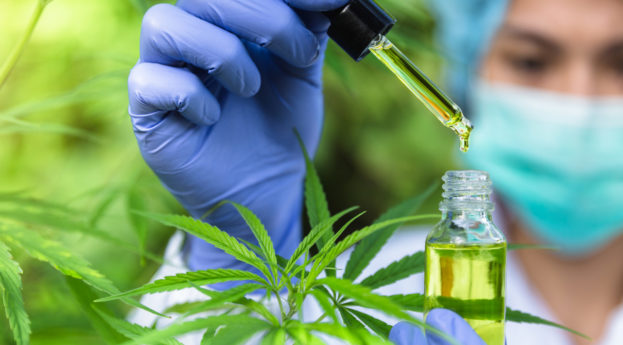 Close de cientista manipulando óleo verde à base de cannabis com luvas azuis
