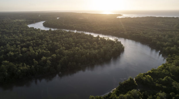 Foto aérea da Amazônia, com raio solar sobre verde