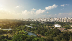Aérea do Parque Ibirapuera, em São Paulo, com árvores e prédios em destaque, alusivo à carteira ESG