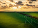 Paisagem de sol ao horizonte com linhas de transmissão de energia elétrica em meio a plantações, alusivo ao leilão de transmissão