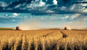 Campo de grãos, cuja produção recorde é prevista pela Conab, com dois tratores ao fundo e céu azul
