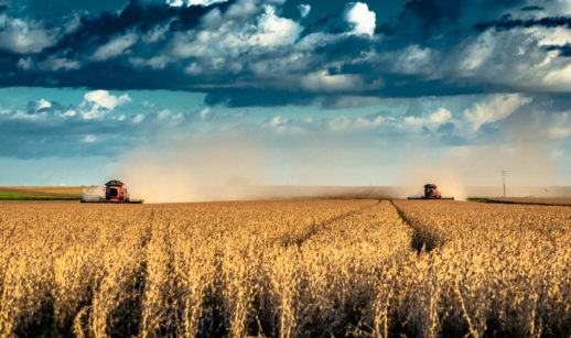 Campo de grãos, cuja produção recorde é prevista pela Conab, com dois tratores ao fundo e céu azul