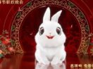 Mascote coelho do ano novo chines