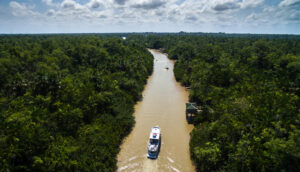 Amazônia foto aérea