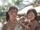 Indígenas na Amazônia Censo IBGE