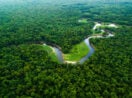 Floresta amazônia
