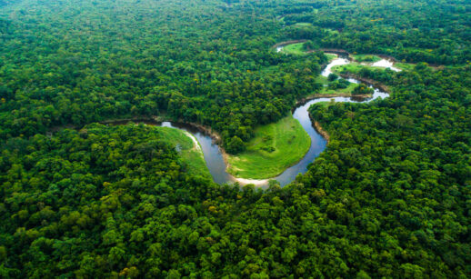Floresta amazônia